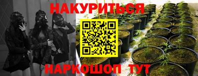PSILOCYBIN Партизанск